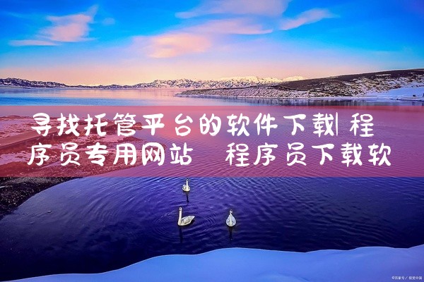寻找托管平台的软件下载