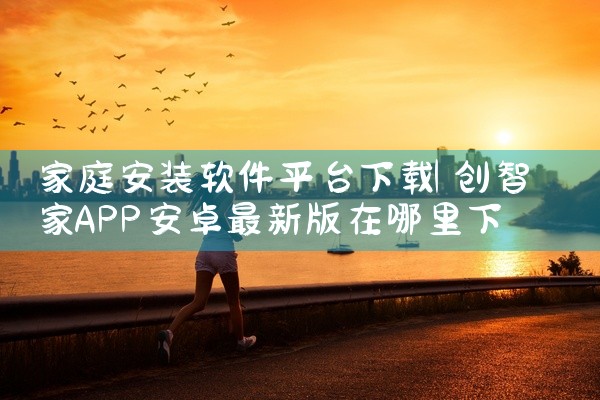 家庭安装软件平台下载