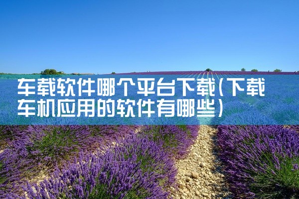 车载软件哪个平台下载