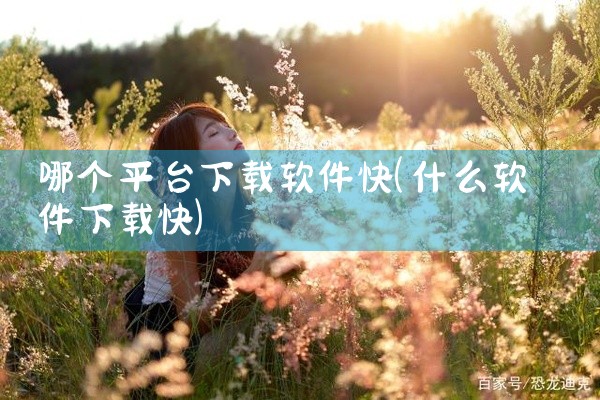 哪个平台下载软件快