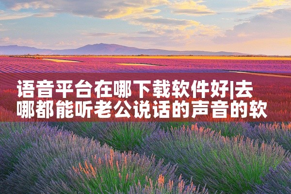语音平台在哪下载软件好