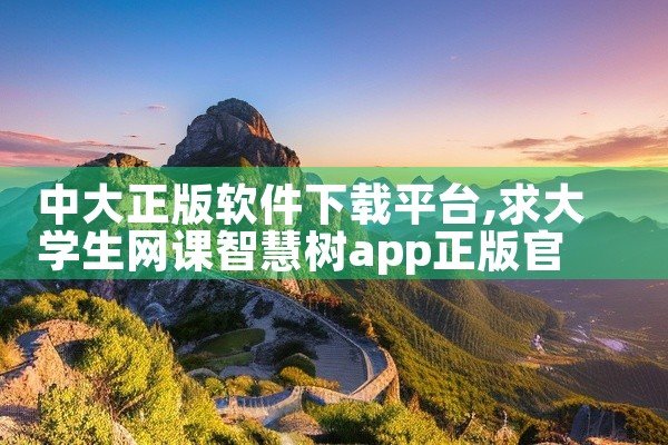 中大正版软件下载平台
