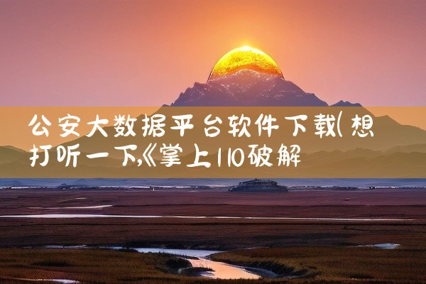 公安大数据平台软件下载